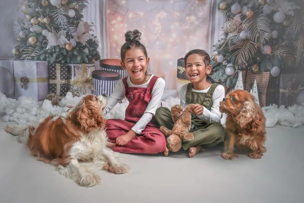 Kate Christmas White Room Pinetrees Gifts Fireplace Decoration Backdrop for Photography - Image 8