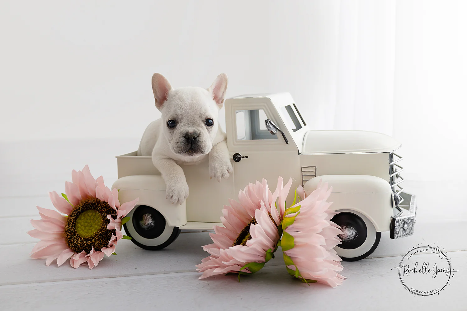 Kate Grey Blue Wood Floor Computer Printed Rubber Floor Mat - Image 3