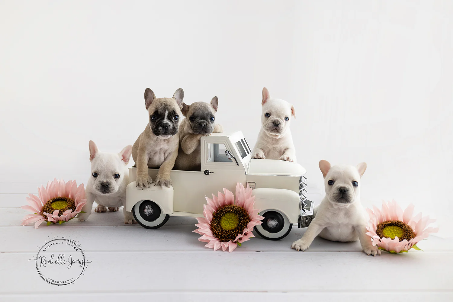 Kate Grey Blue Wood Floor Computer Printed Rubber Floor Mat - Image 4