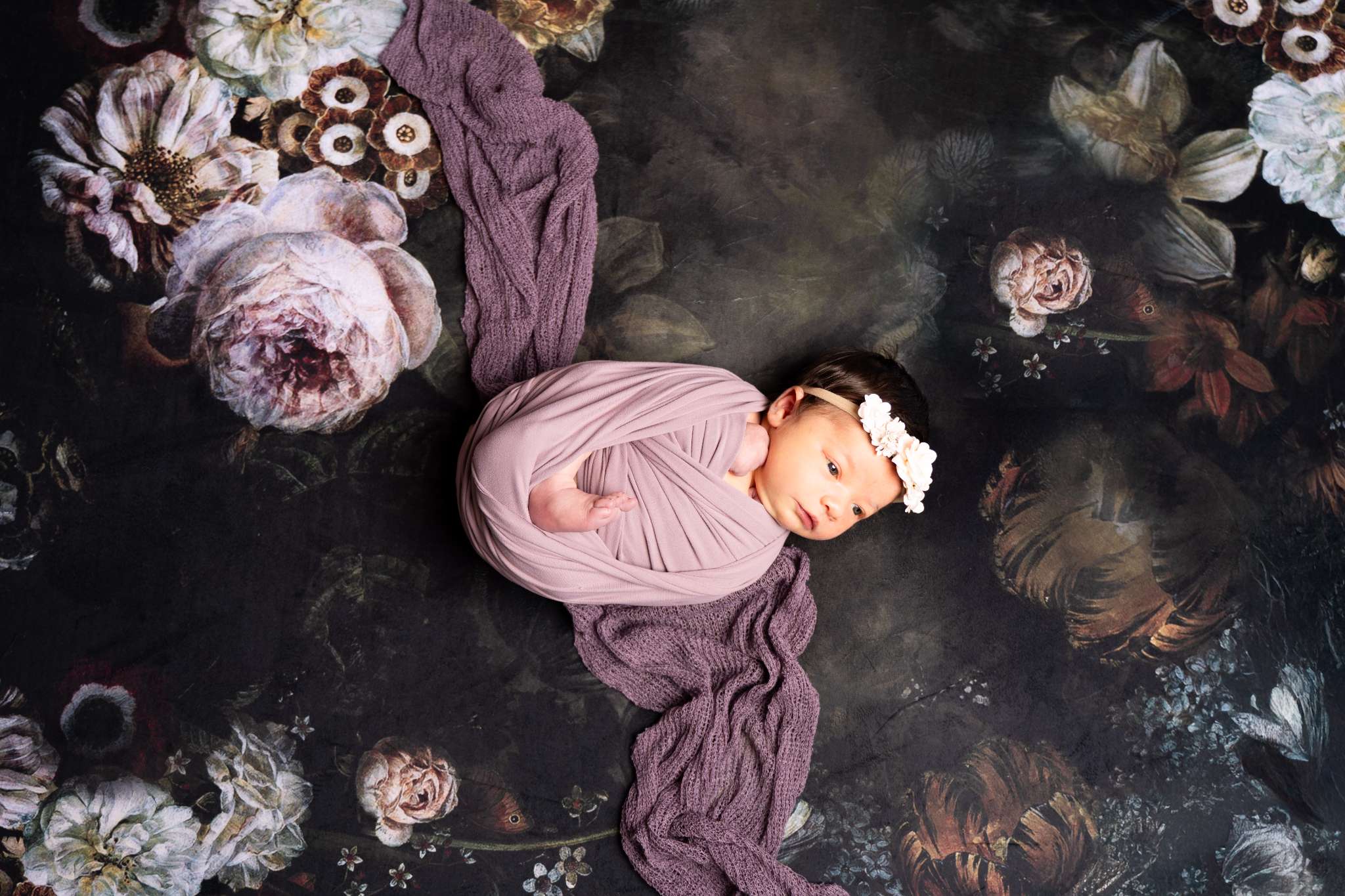 Kate Fine Art Dark/Brown Floral Collapsible Backdrop Photography 5X6.5ft(1.5x2m) - Image 6